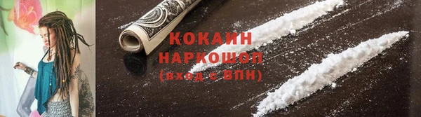 индика Елабуга