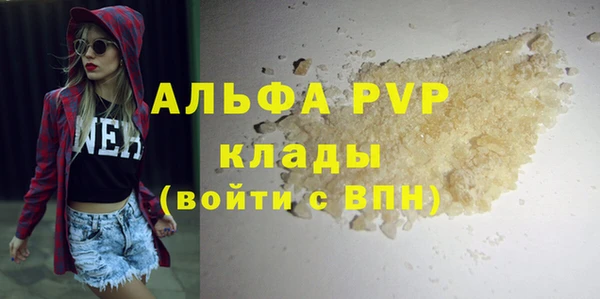 индика Елабуга