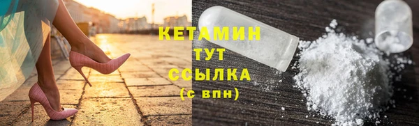 индика Елабуга