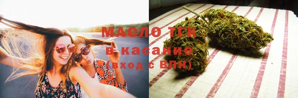 индика Елабуга