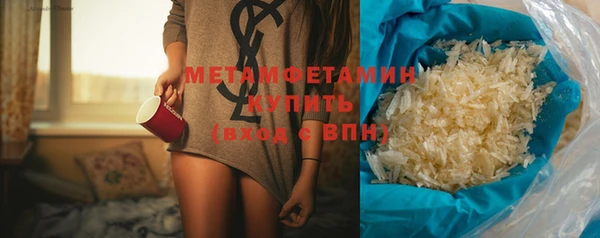 индика Елабуга