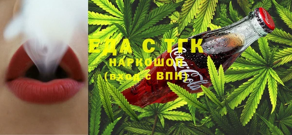 индика Елабуга