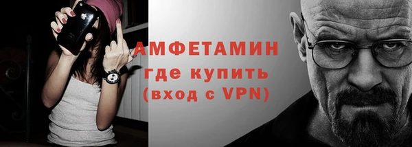 индика Елабуга