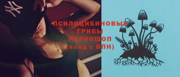 индика Елабуга