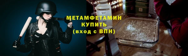 индика Елабуга
