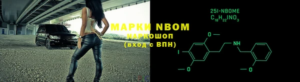 индика Елабуга