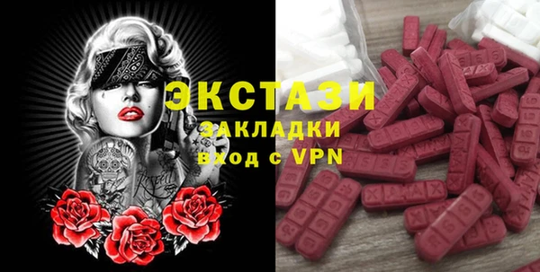 индика Елабуга