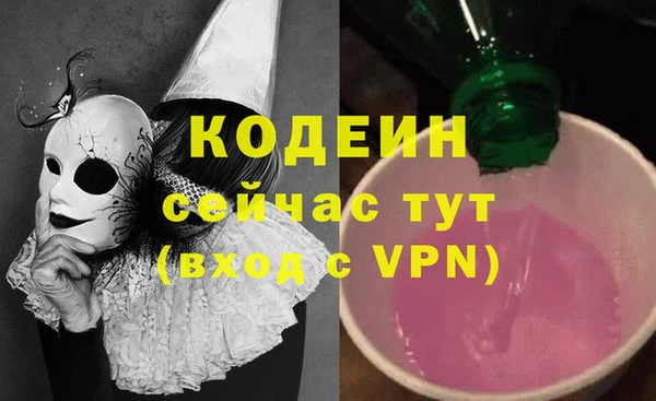 индика Елабуга