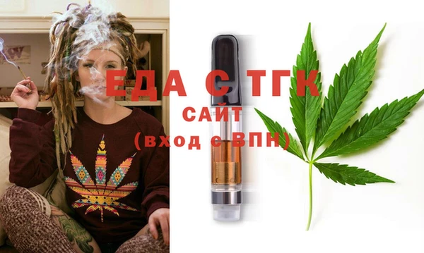 индика Елабуга