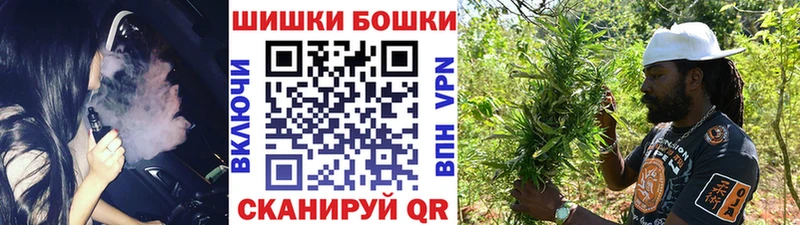 Купить закладки  Нерюнгри  Бошки Шишки семена 